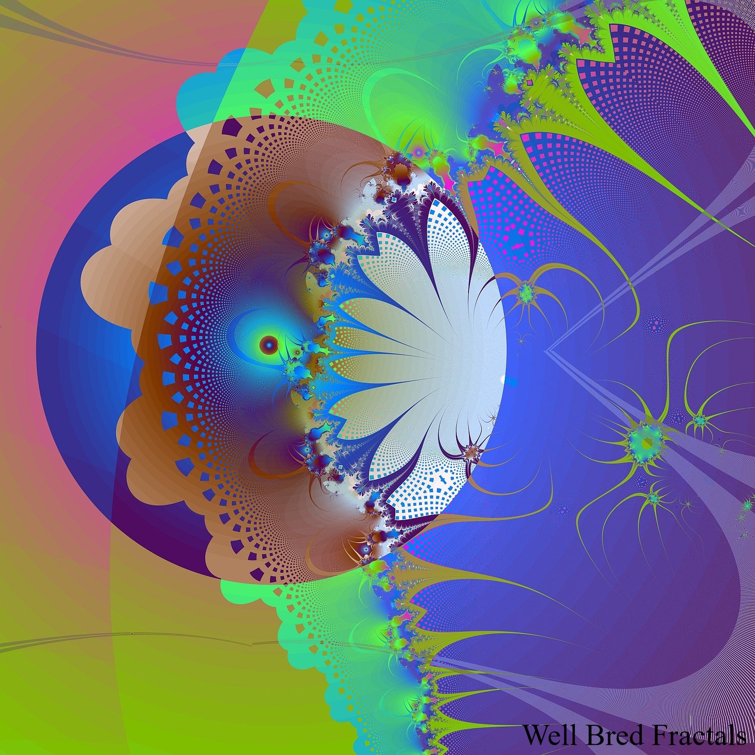 Square Fractal 155
