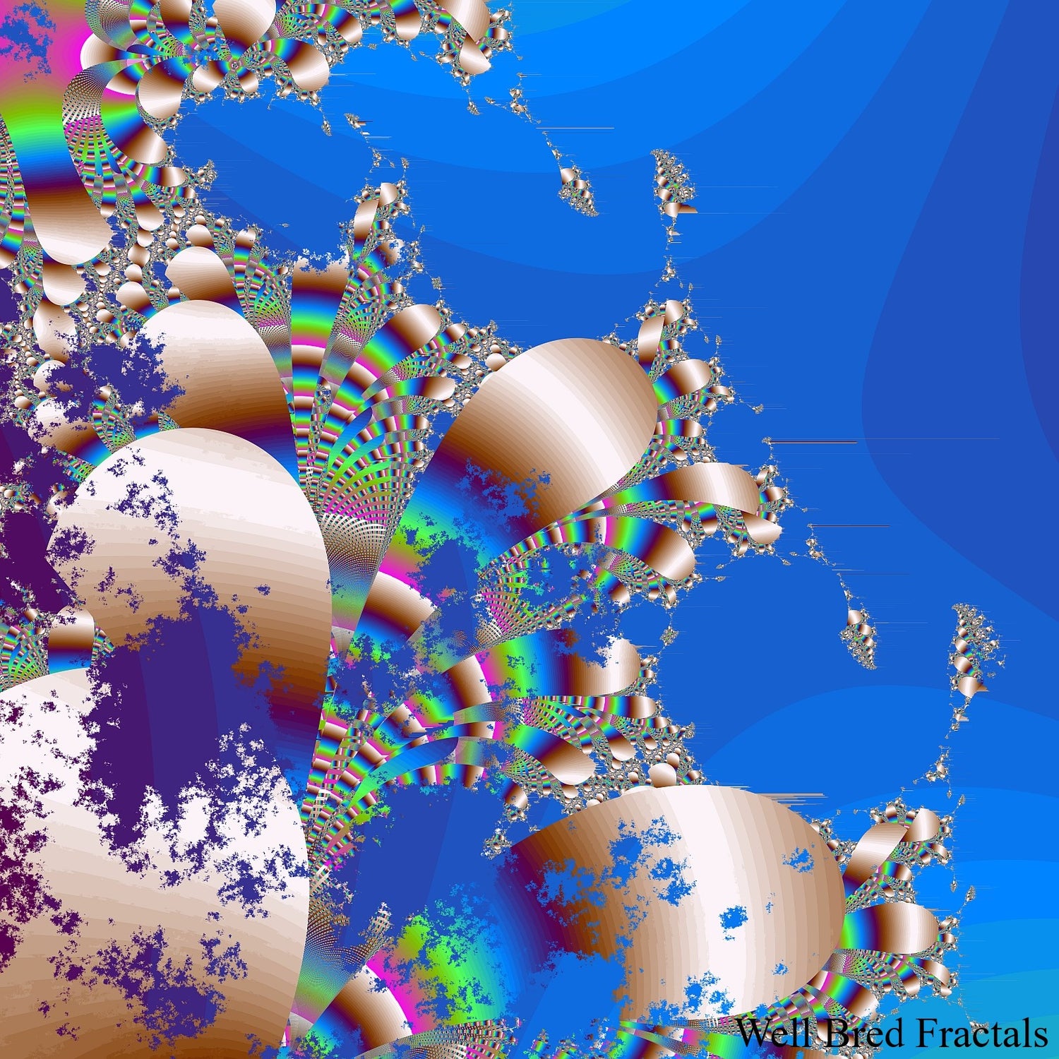 Square Fractal 163
