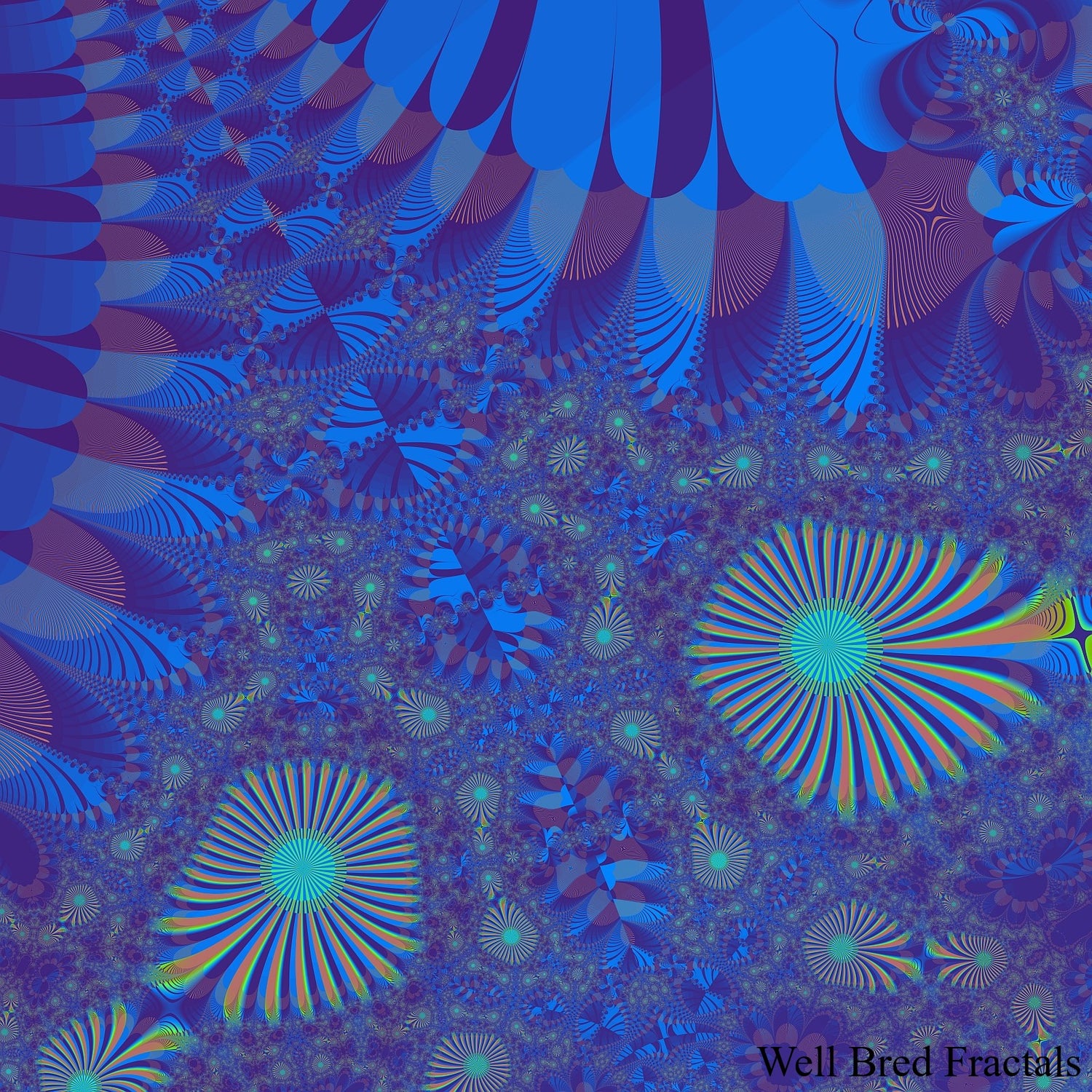 Square Fractal 164