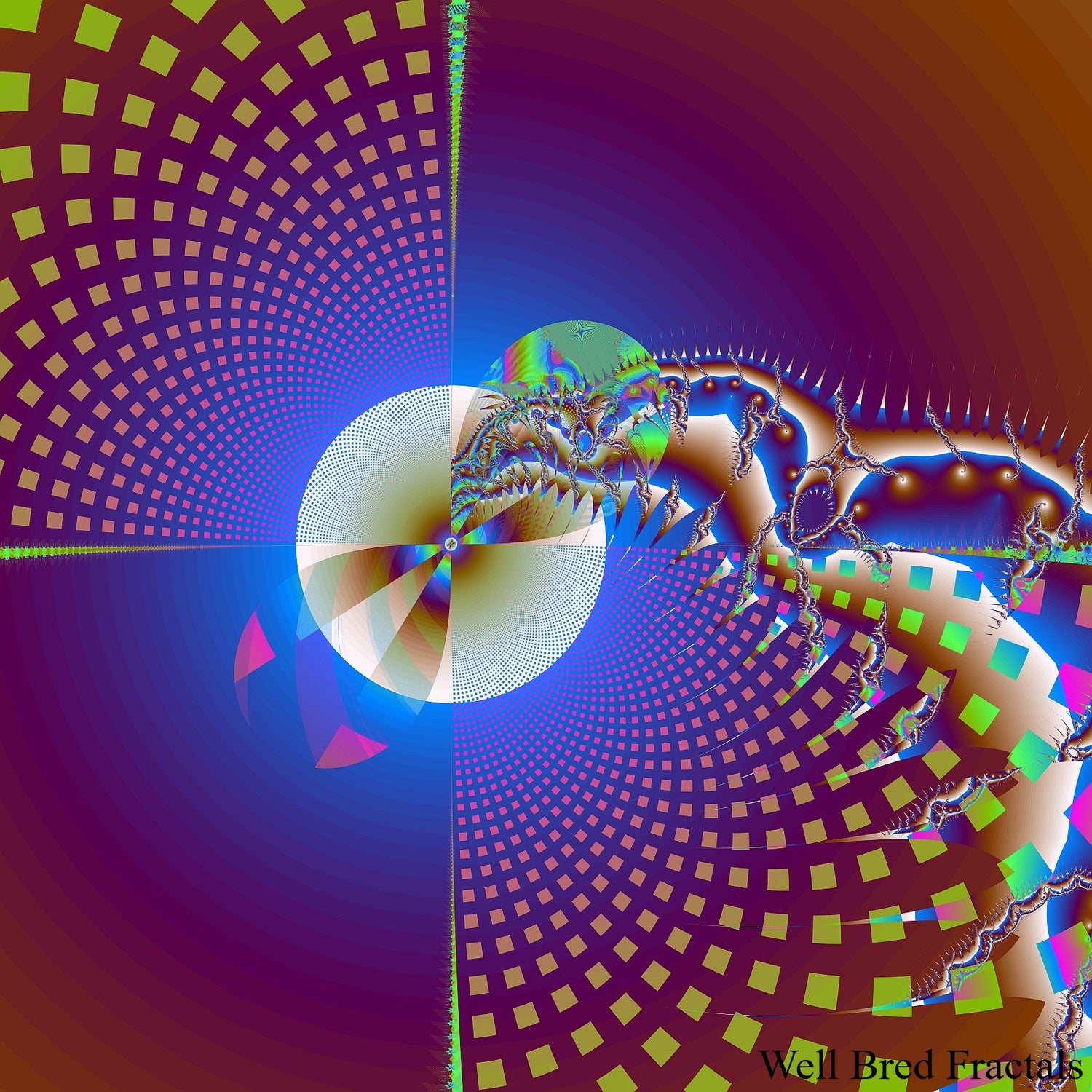 Square Fractal 170