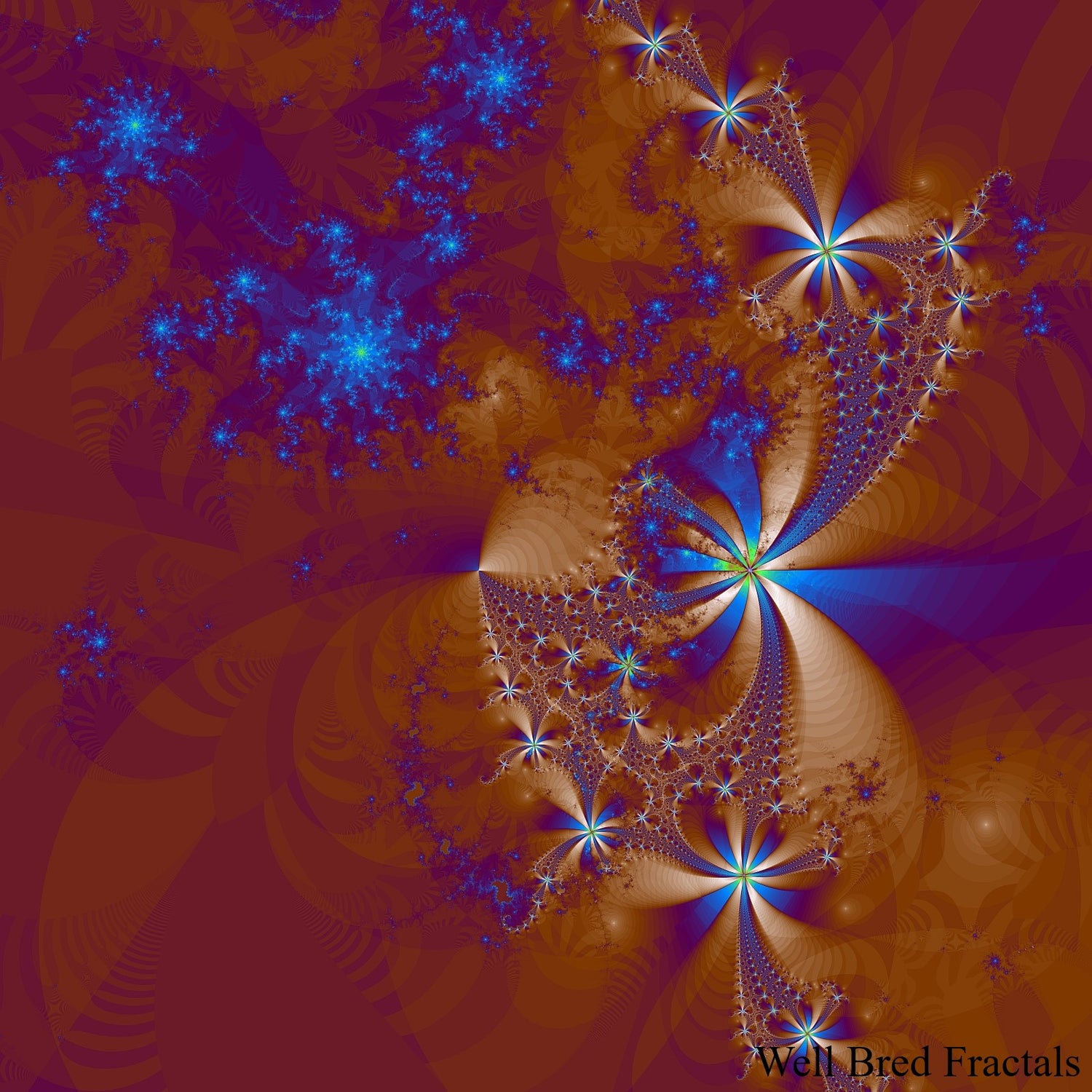Square Fractal 178