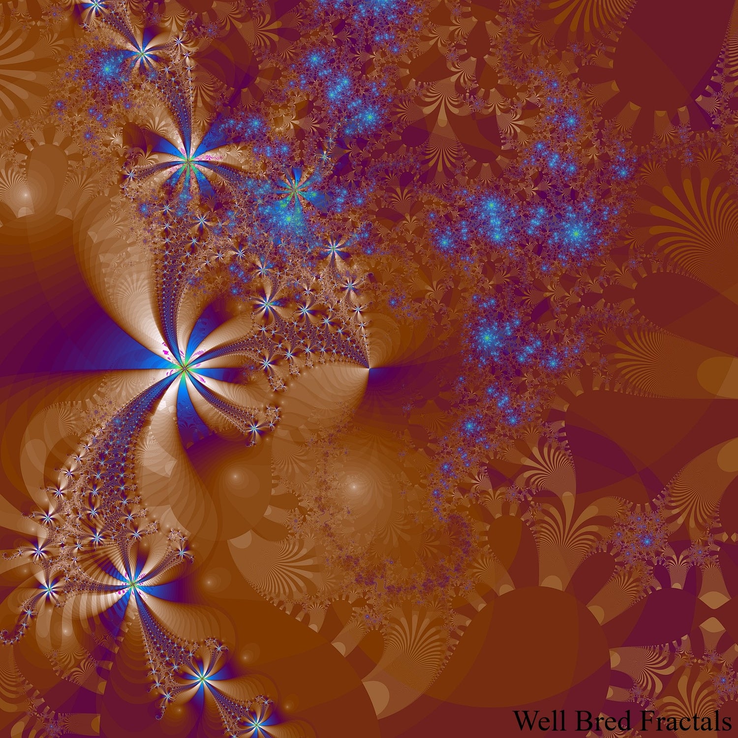 Square Fractal 180