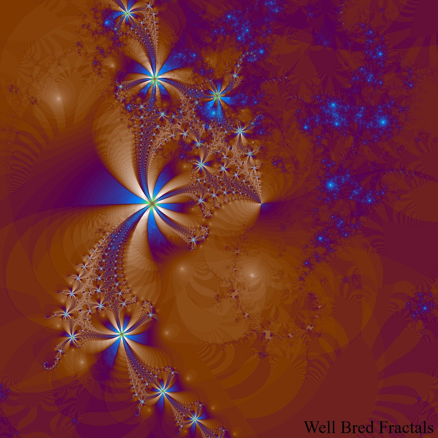 Square Fractal 181