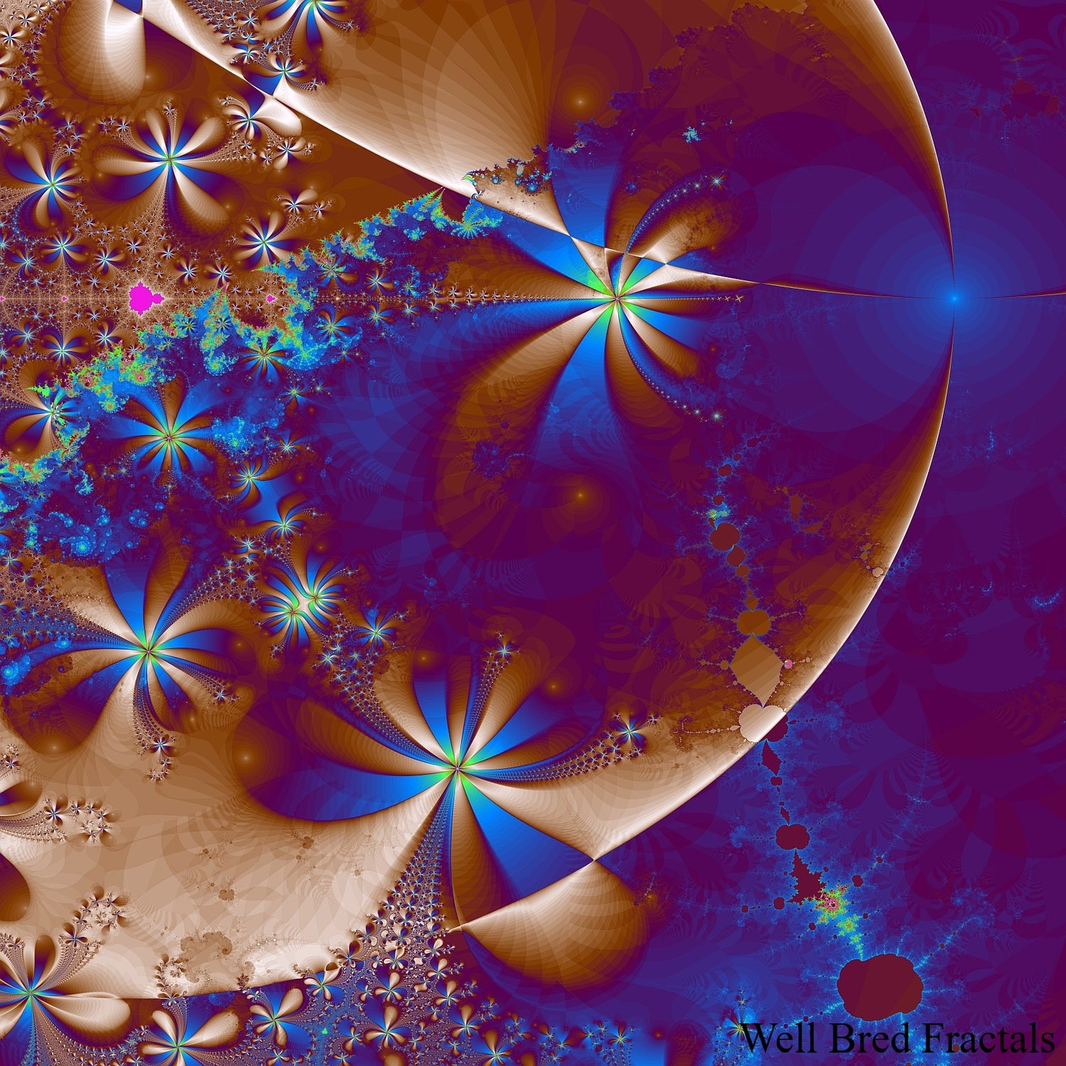 Square Fractal 184