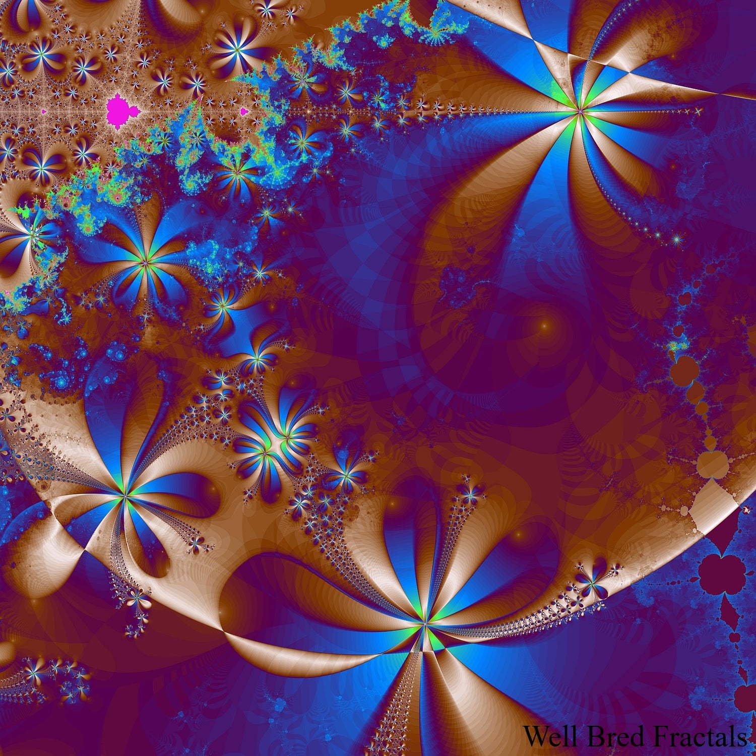 Square Fractal 185