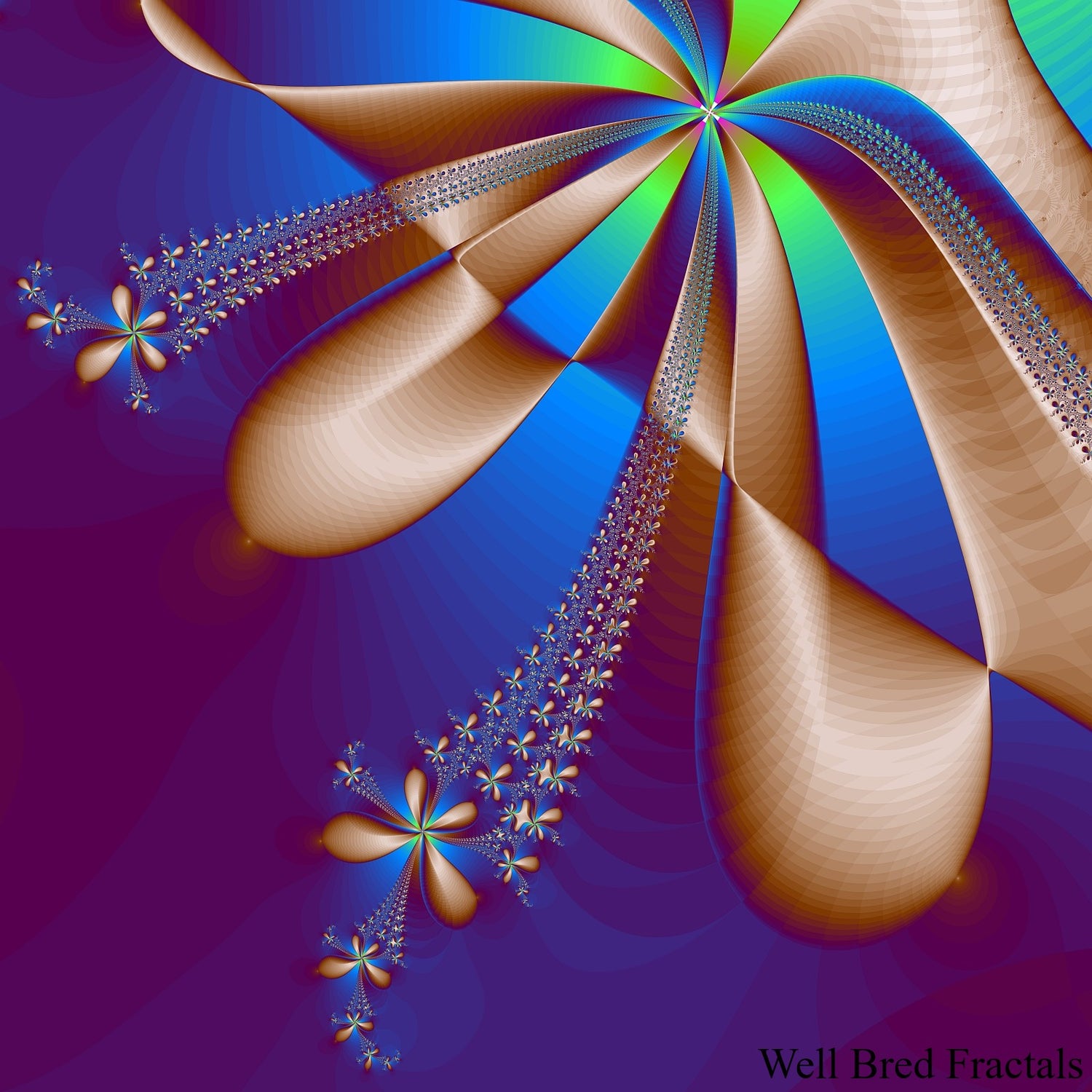 Square Fractal 193