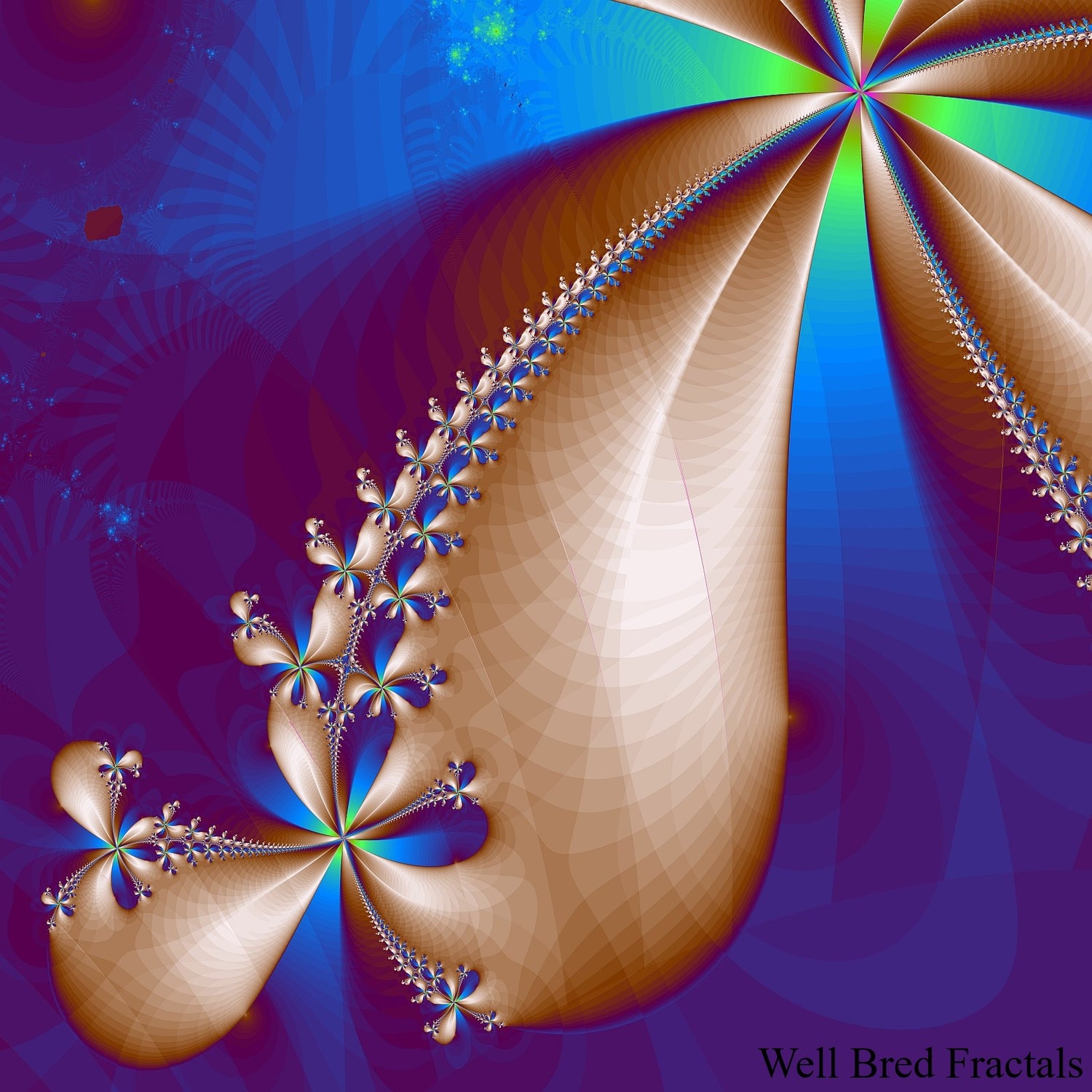 Square Fractal 197
